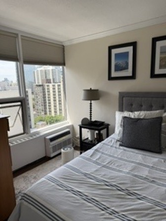 1400 N State Parkway Unit: 17E