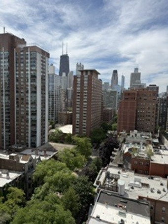 1400 N State Parkway Unit: 17E