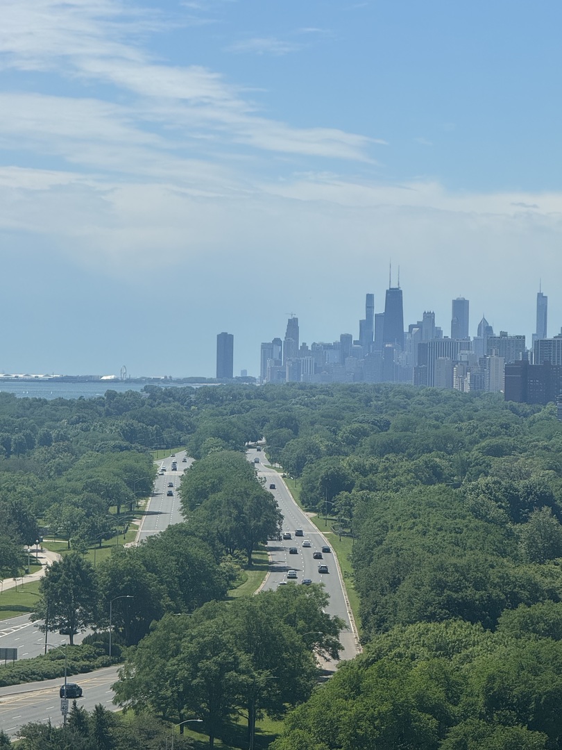 5701 N SHERIDAN Road Unit: 17S