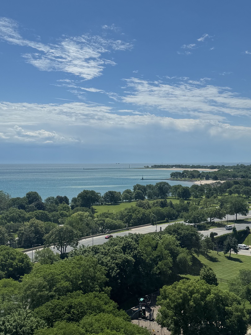 5701 N SHERIDAN Road Unit: 17S