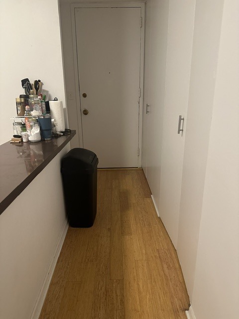 1 E Scott Street Unit: 1707