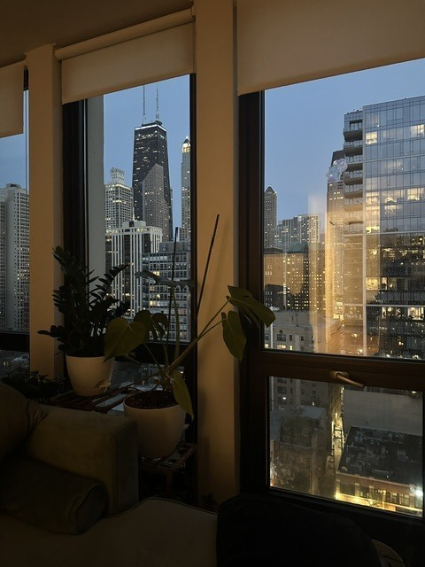 1 E Scott Street Unit: 1707