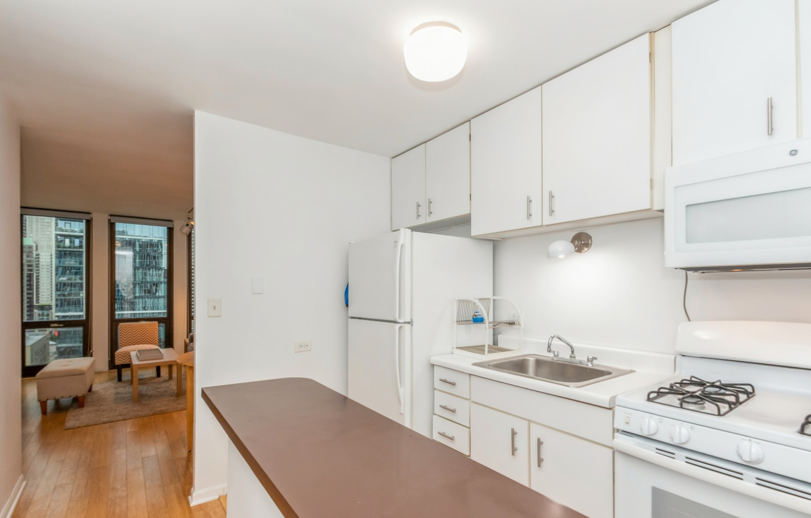 1 E Scott Street Unit: 1707