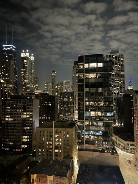1 E Scott Street Unit: 2007