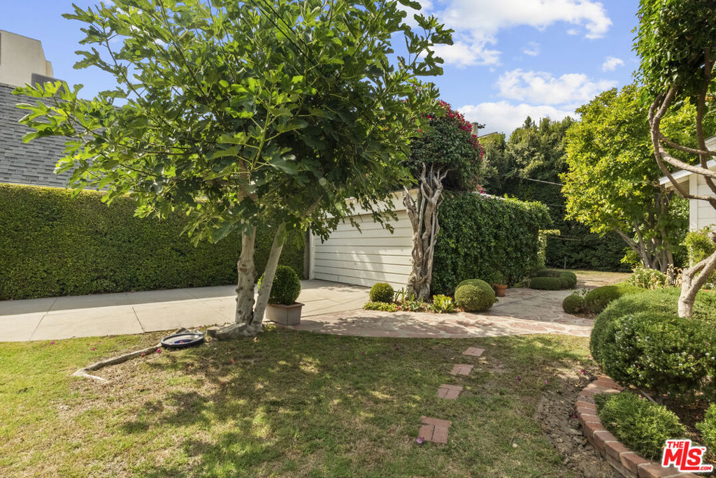 10941 Peach Grove Street