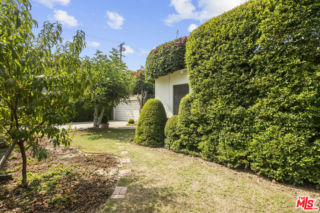 10941 Peach Grove Street