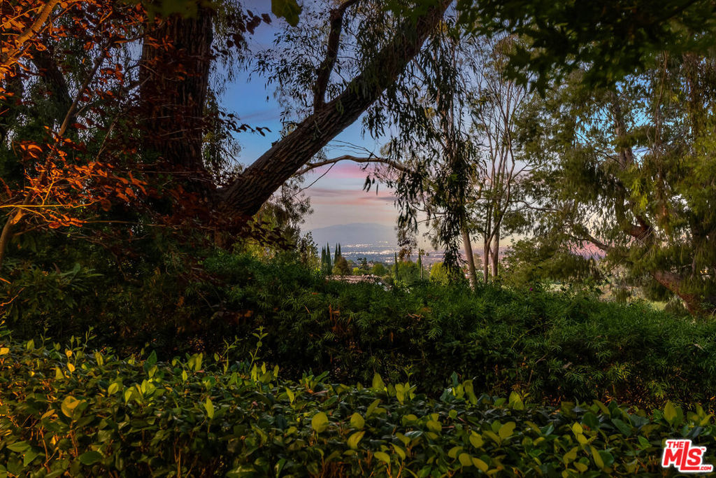 19012 Dorlon Drive