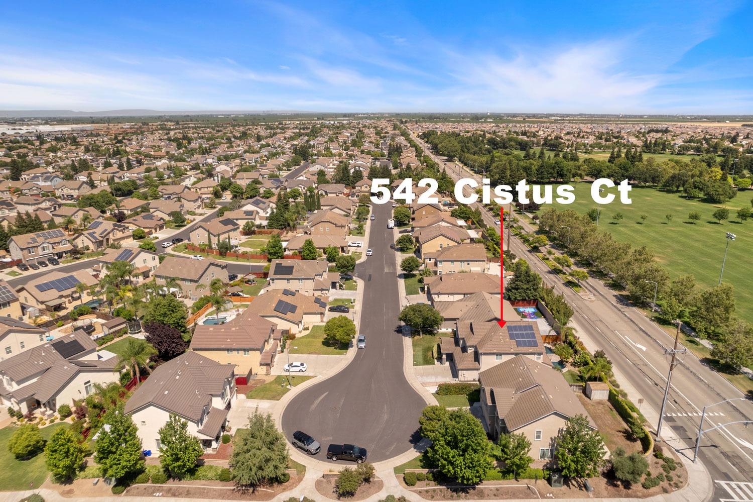 542 Cistus Court
