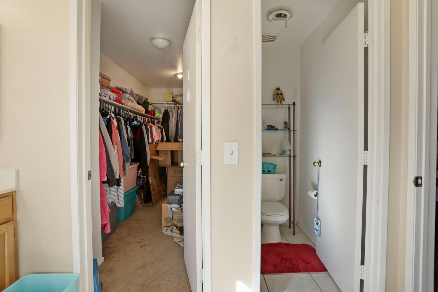 5310 Privet Lane