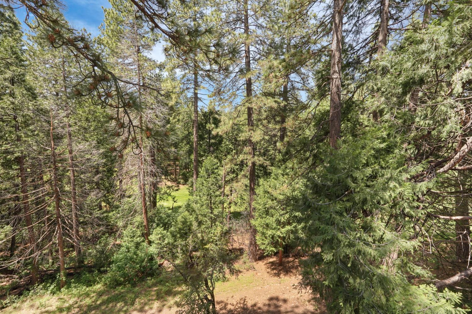 980 Fairway Court