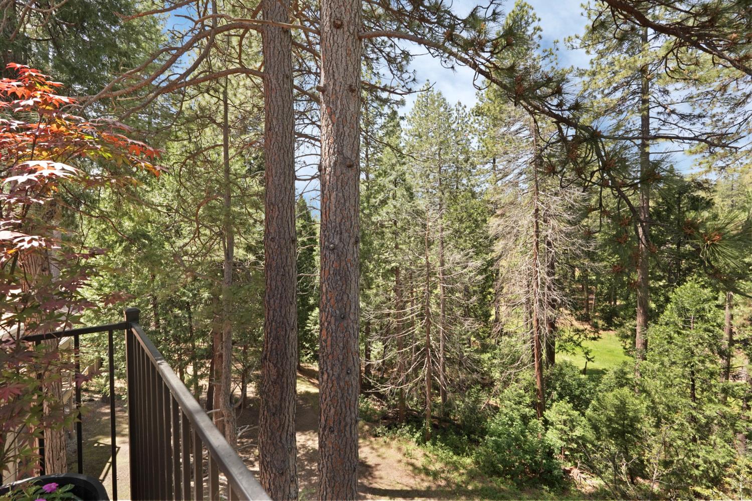980 Fairway Court
