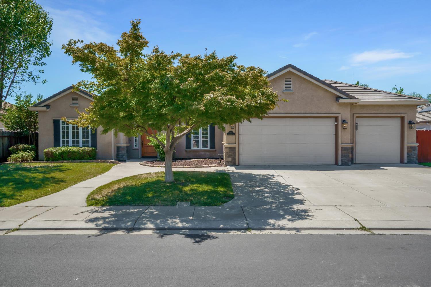 565 Springcreek Place