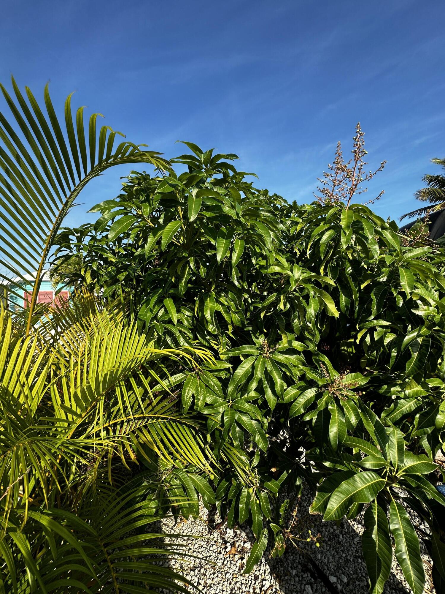 701 Spanish Main Drive Unit: 240