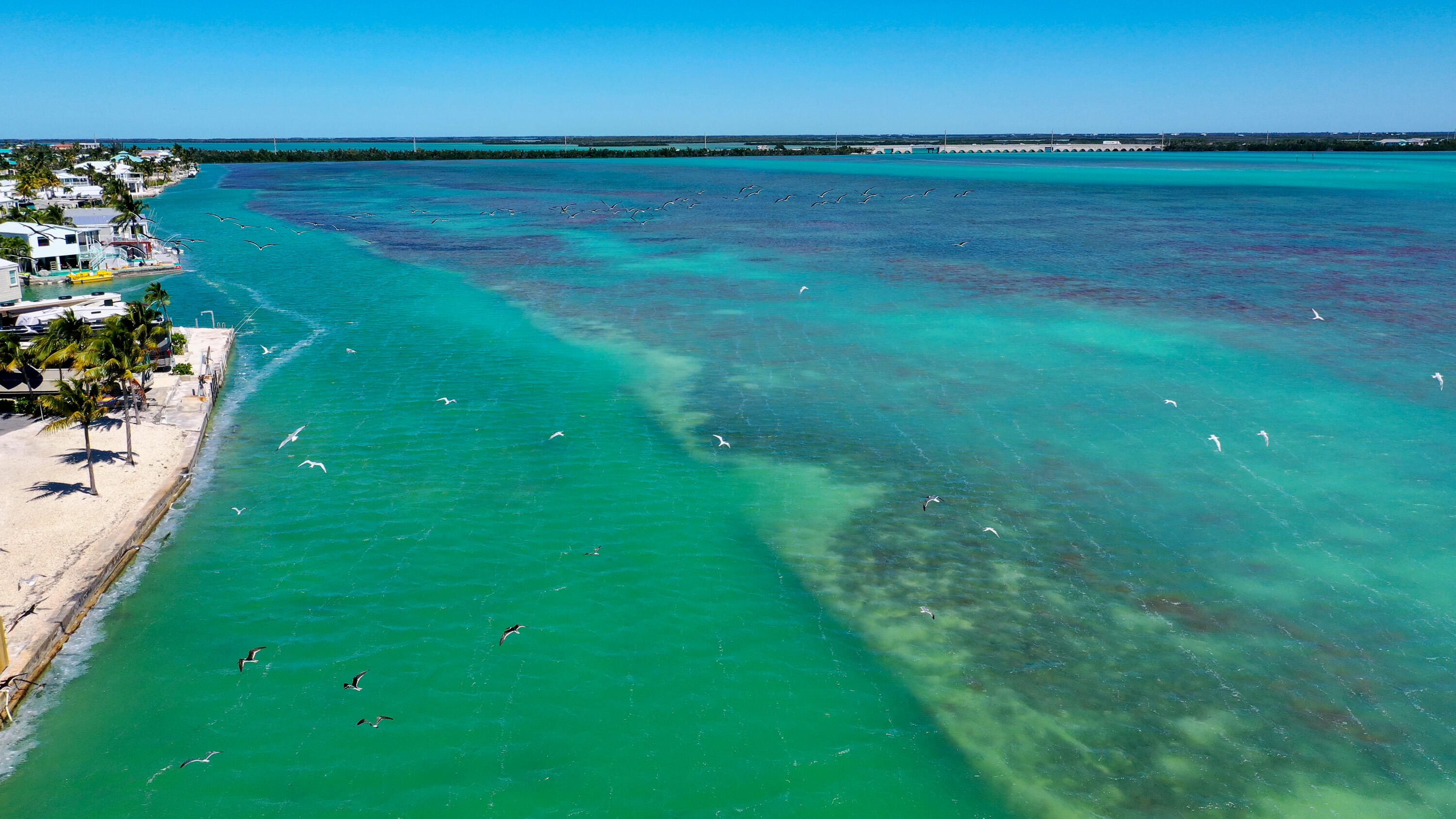 701 Spanish Main Drive Unit: 240