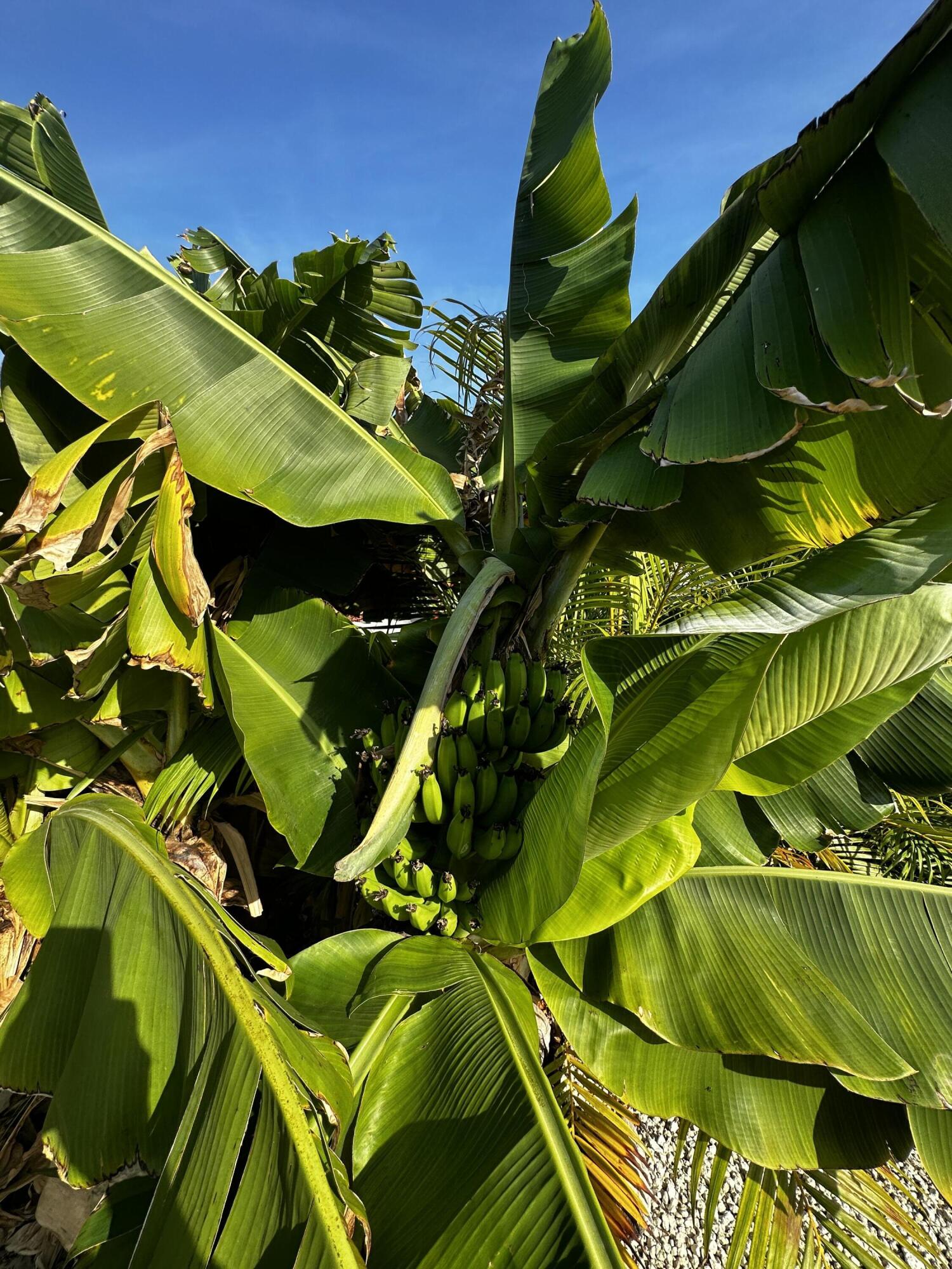 701 Spanish Main Drive Unit: 240