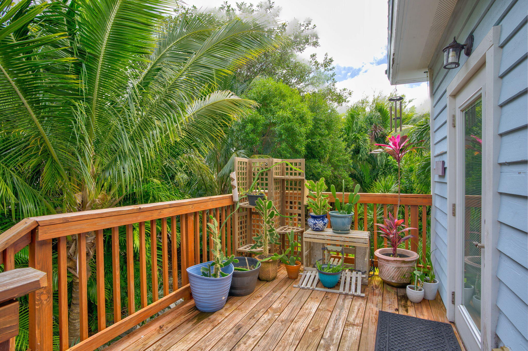 81 Coral Avenue