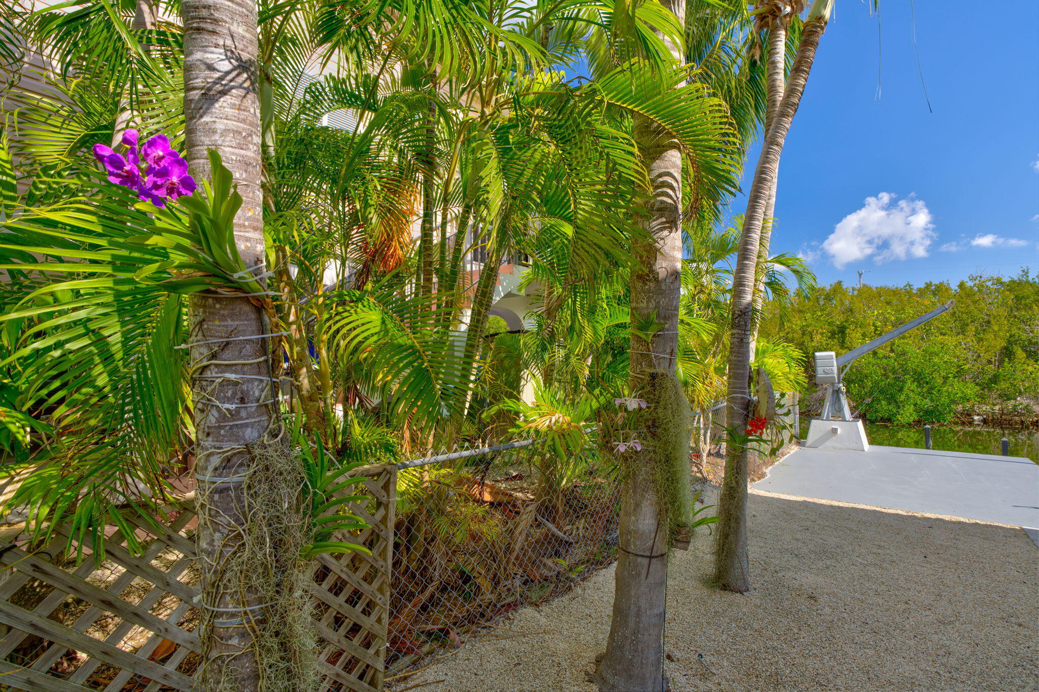 29025 Geranium Drive