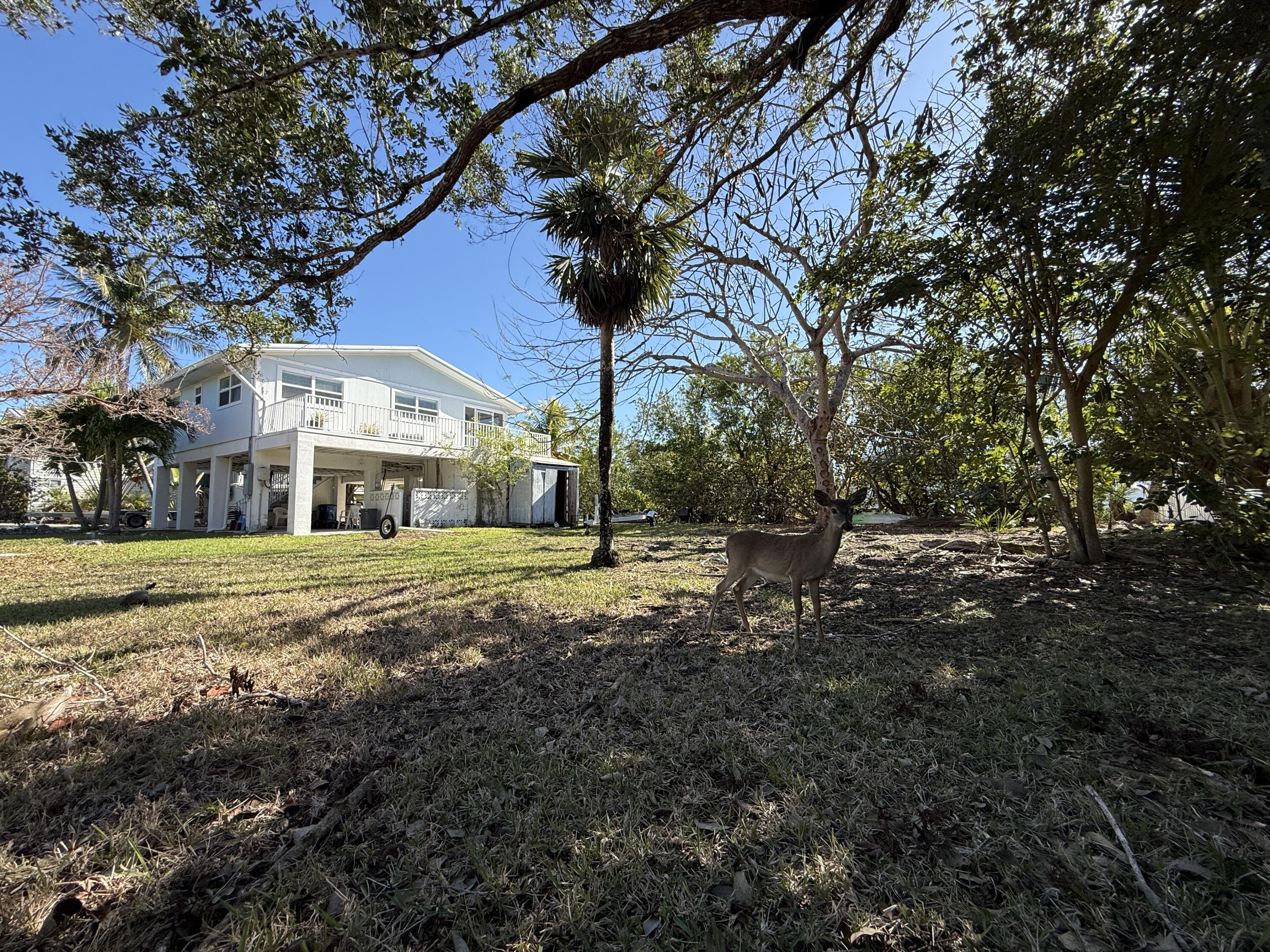 4039 Egret Lane