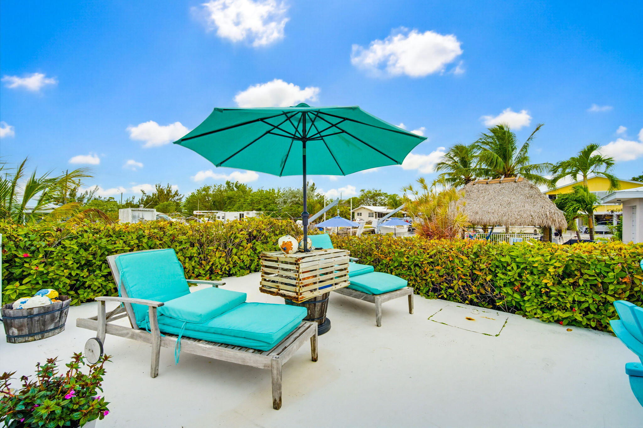 29534 Geraldine Street