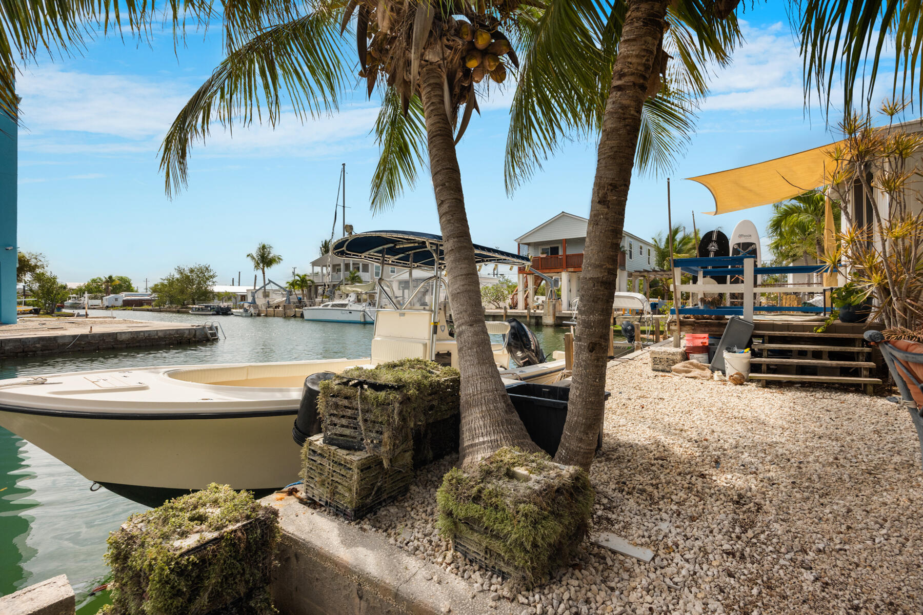 Waterfront canal and boat beside palm trees, with a board rack and neighboring homes across the water.