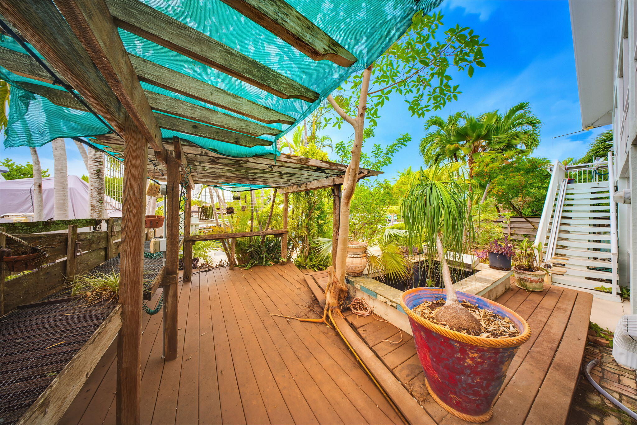 147 Gardenia Street