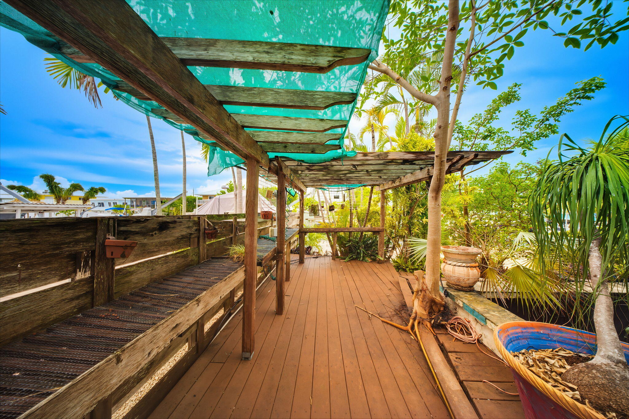 147 Gardenia Street