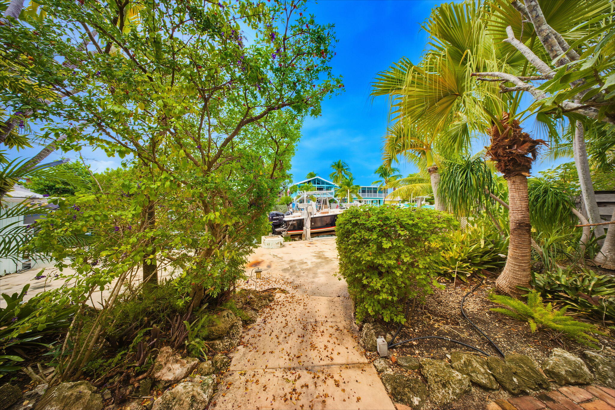 147 Gardenia Street