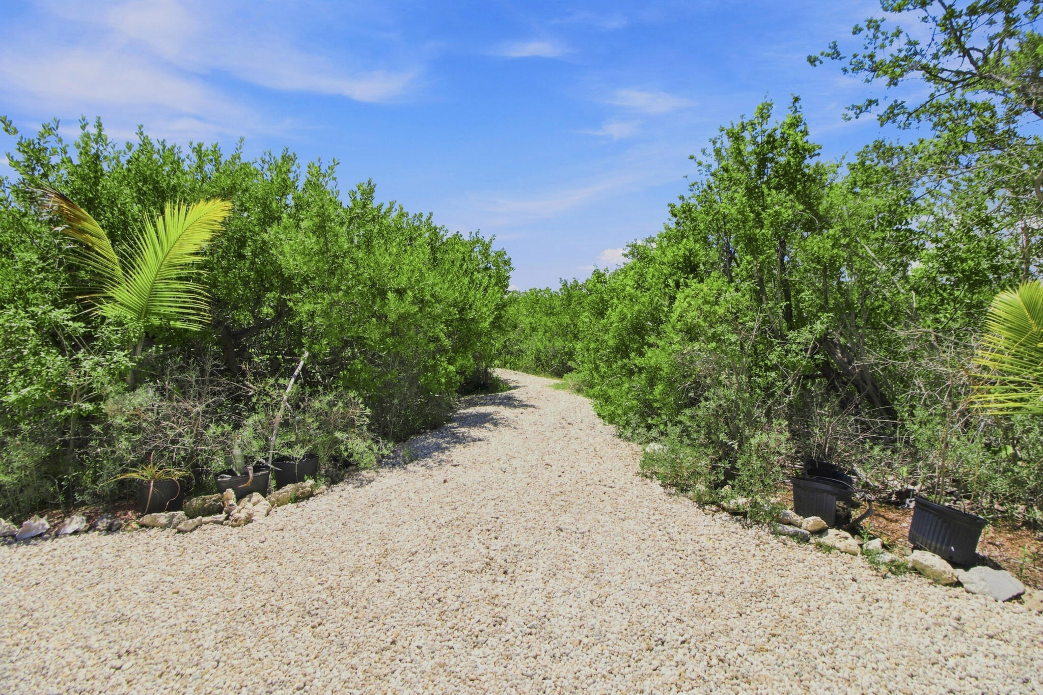 17050 Old State Road 4A
