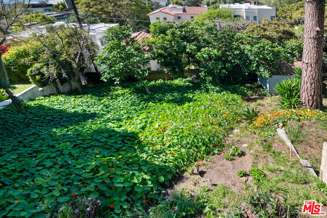 207 Ocean Ave