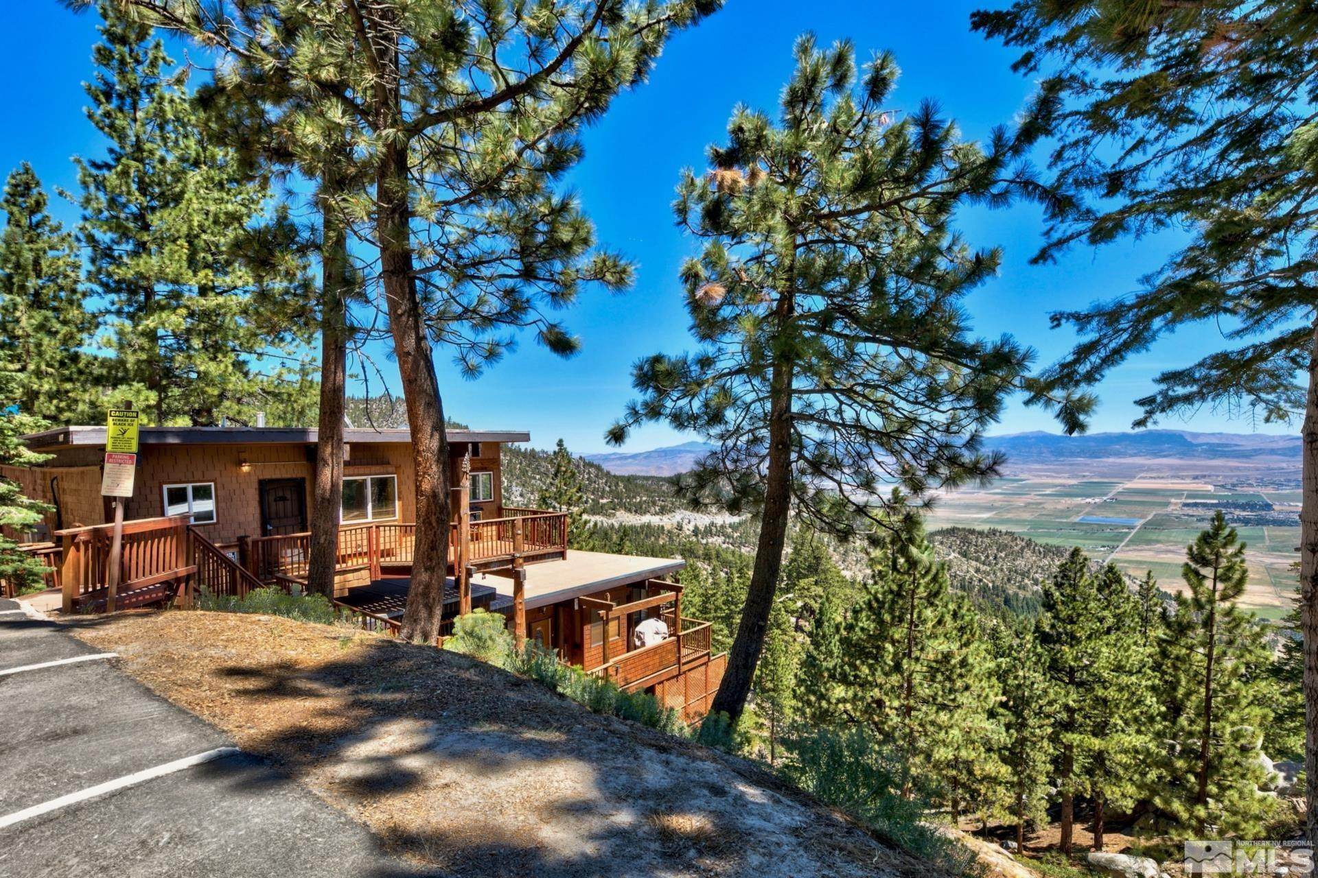 281 Quaking Aspen