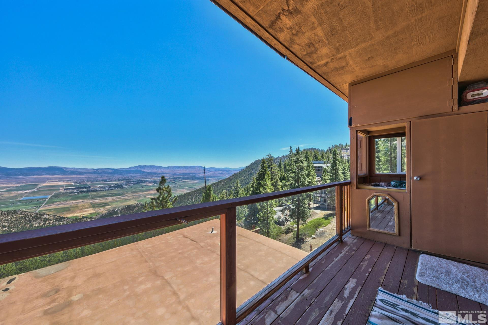 281 Quaking Aspen