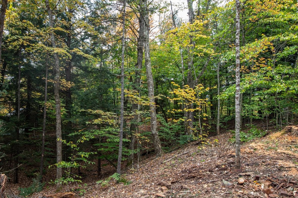 150 North Shore Drive