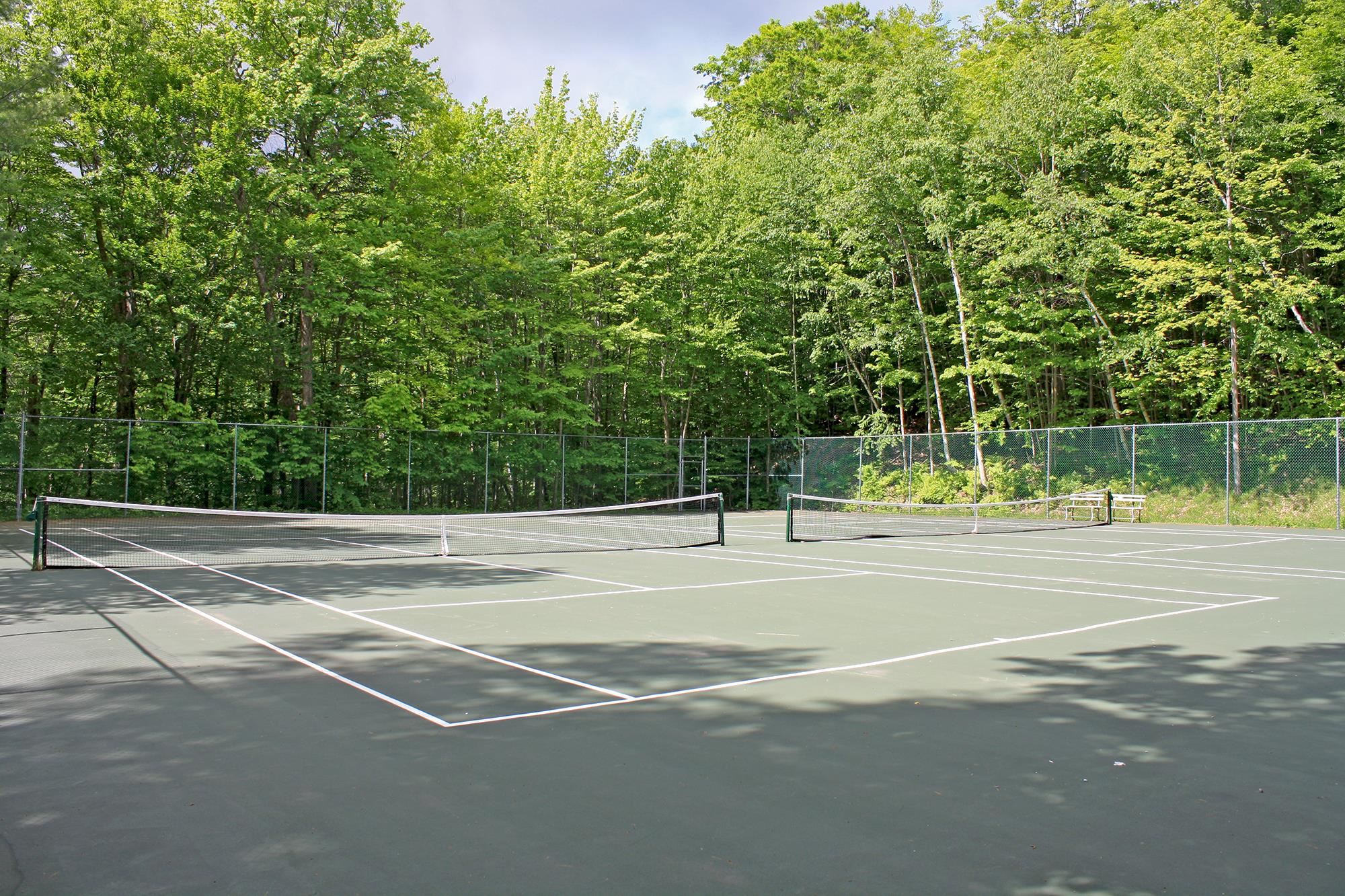 224 Okemo Trailside Extension Unit: 46 C