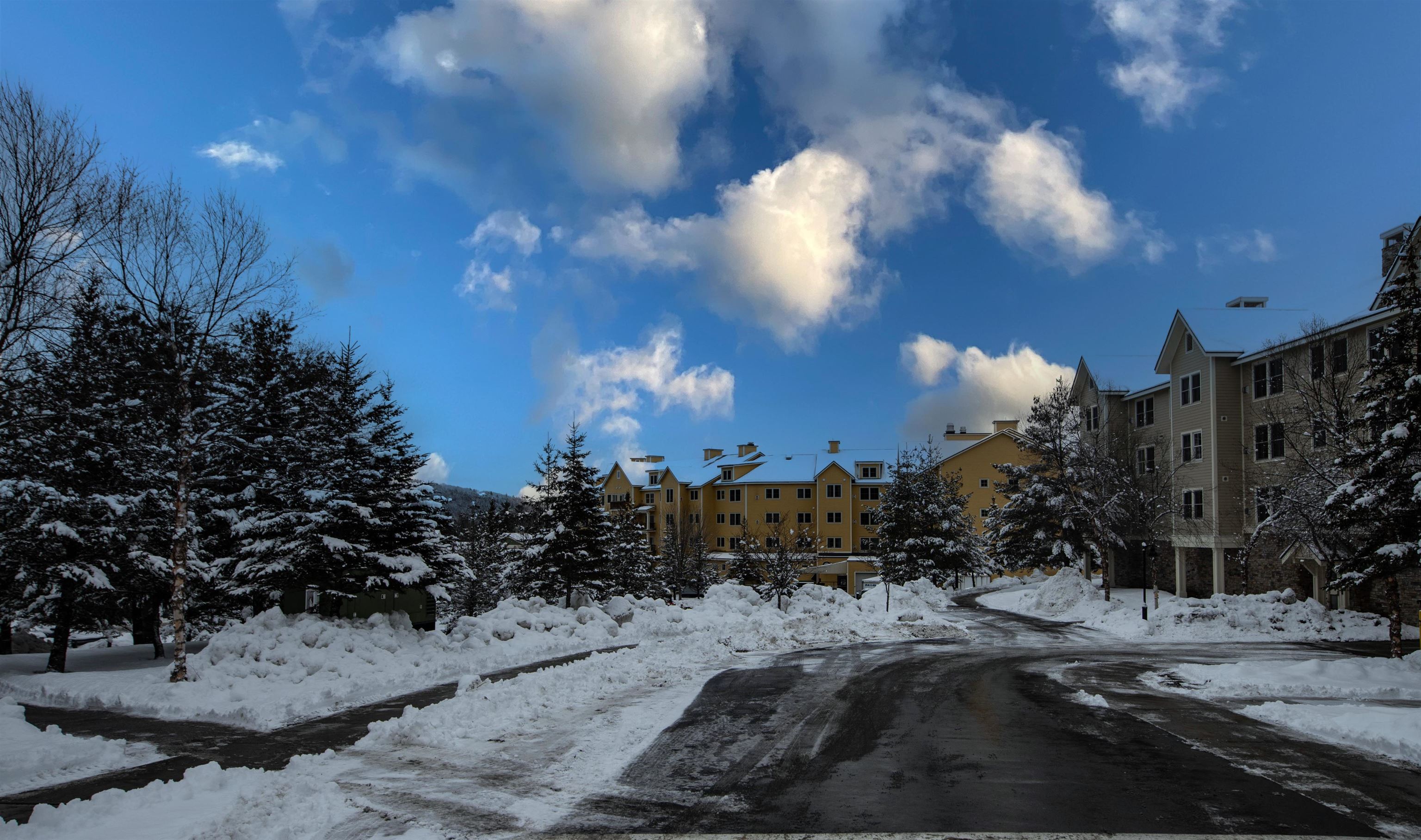 505/507 Qtr. I Adams House