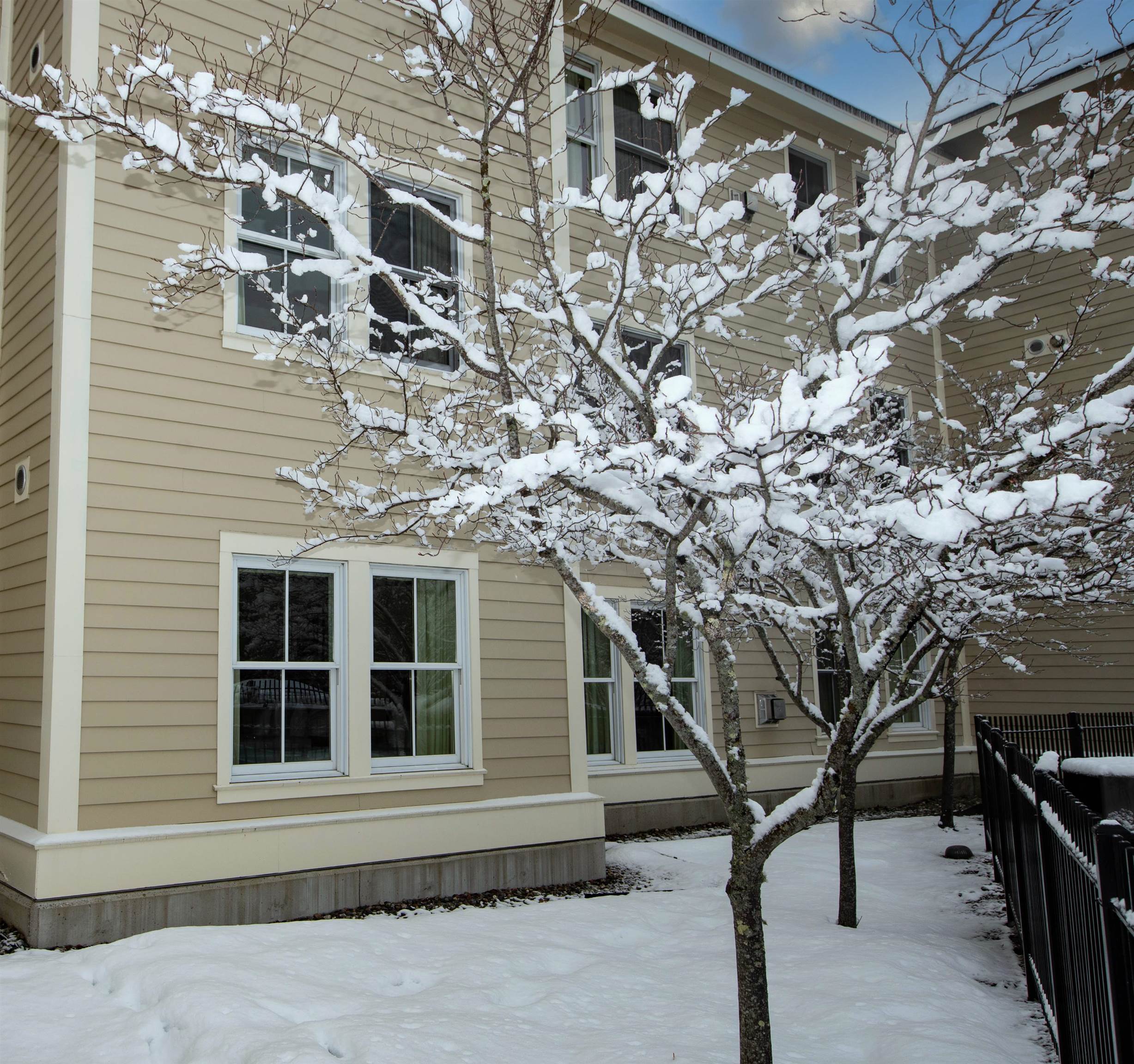 505/507 Qtr. I Adams House