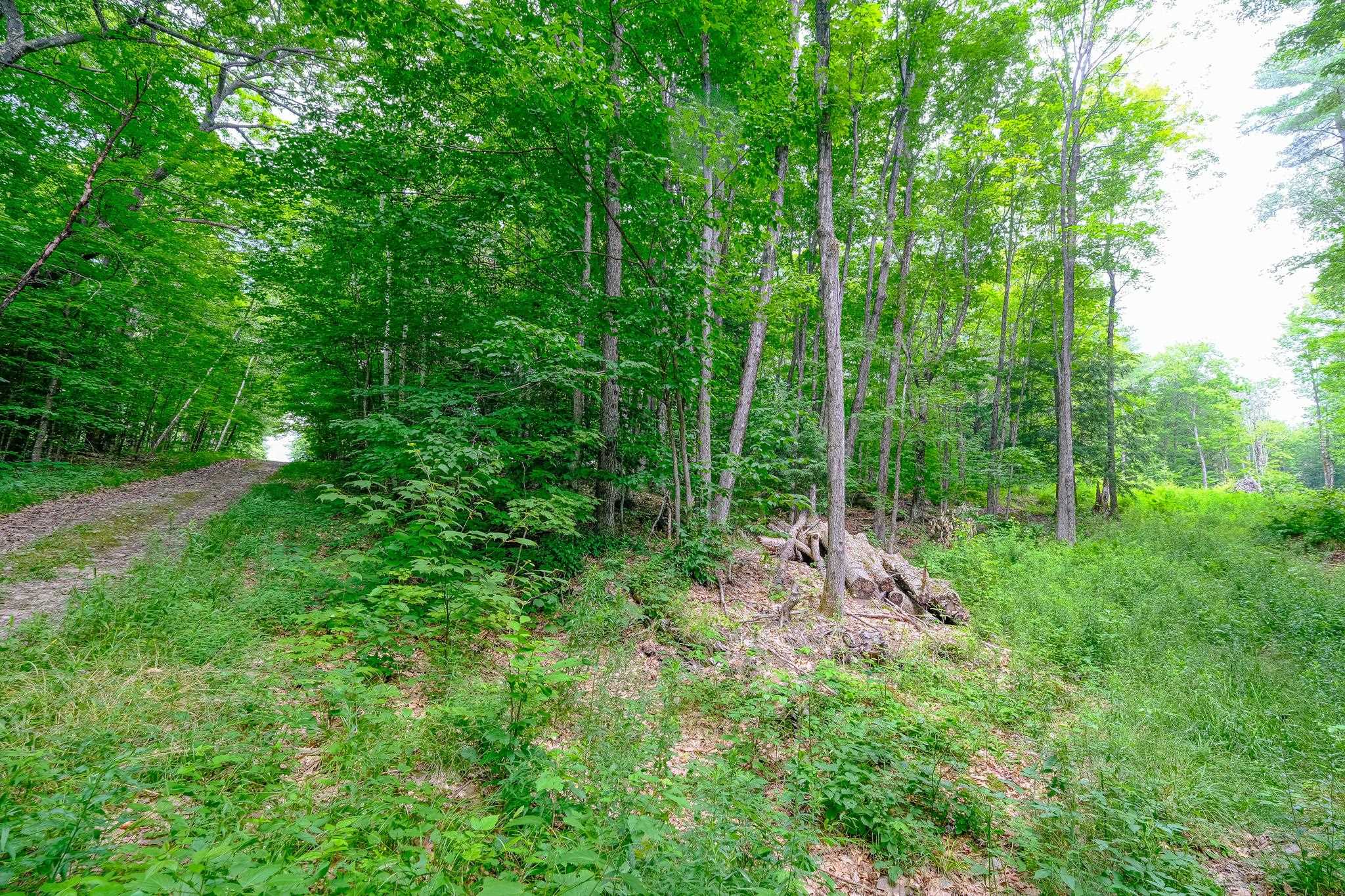 Lot 2A Preedom Hill Road North