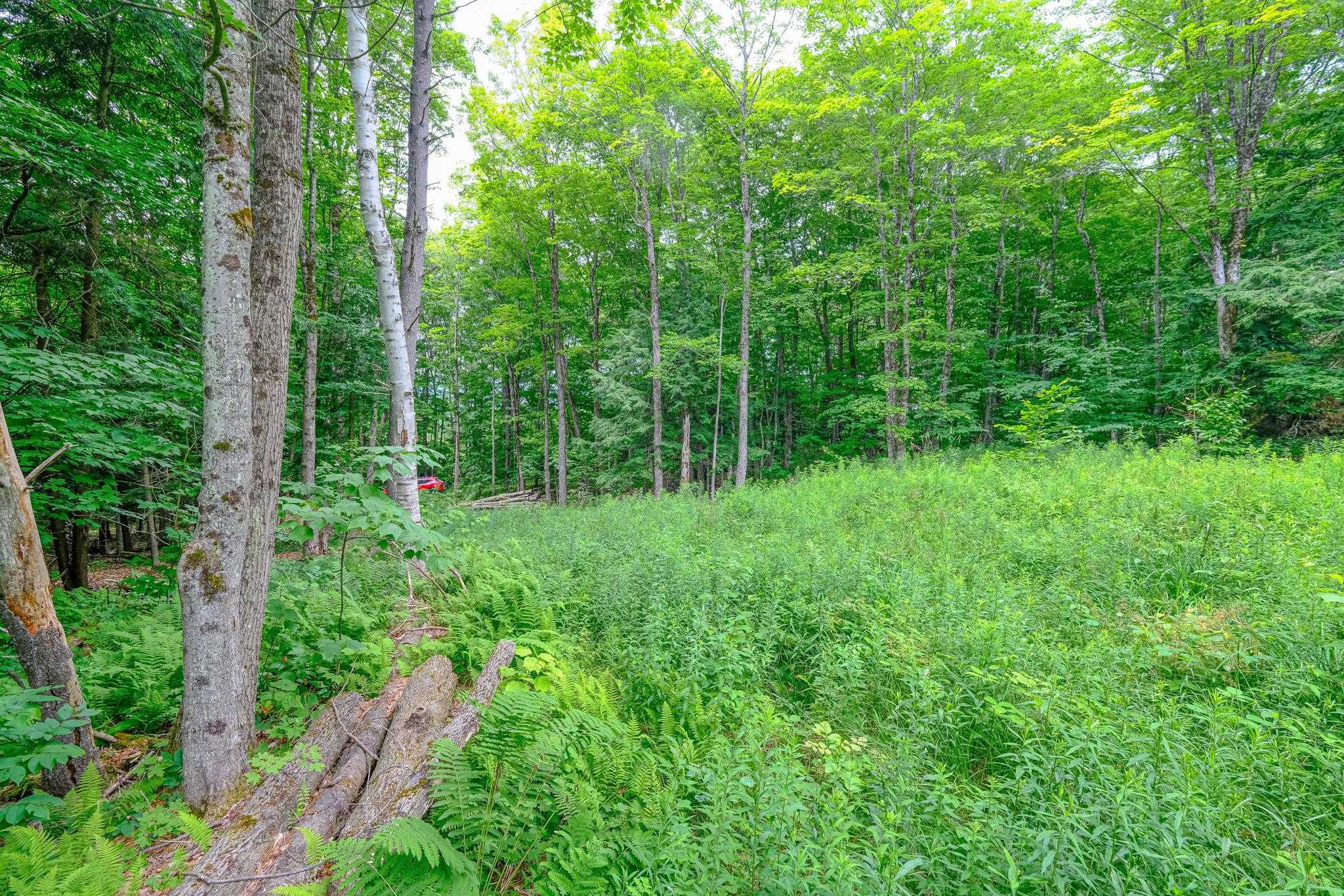 Lot 2A Preedom Hill Road North