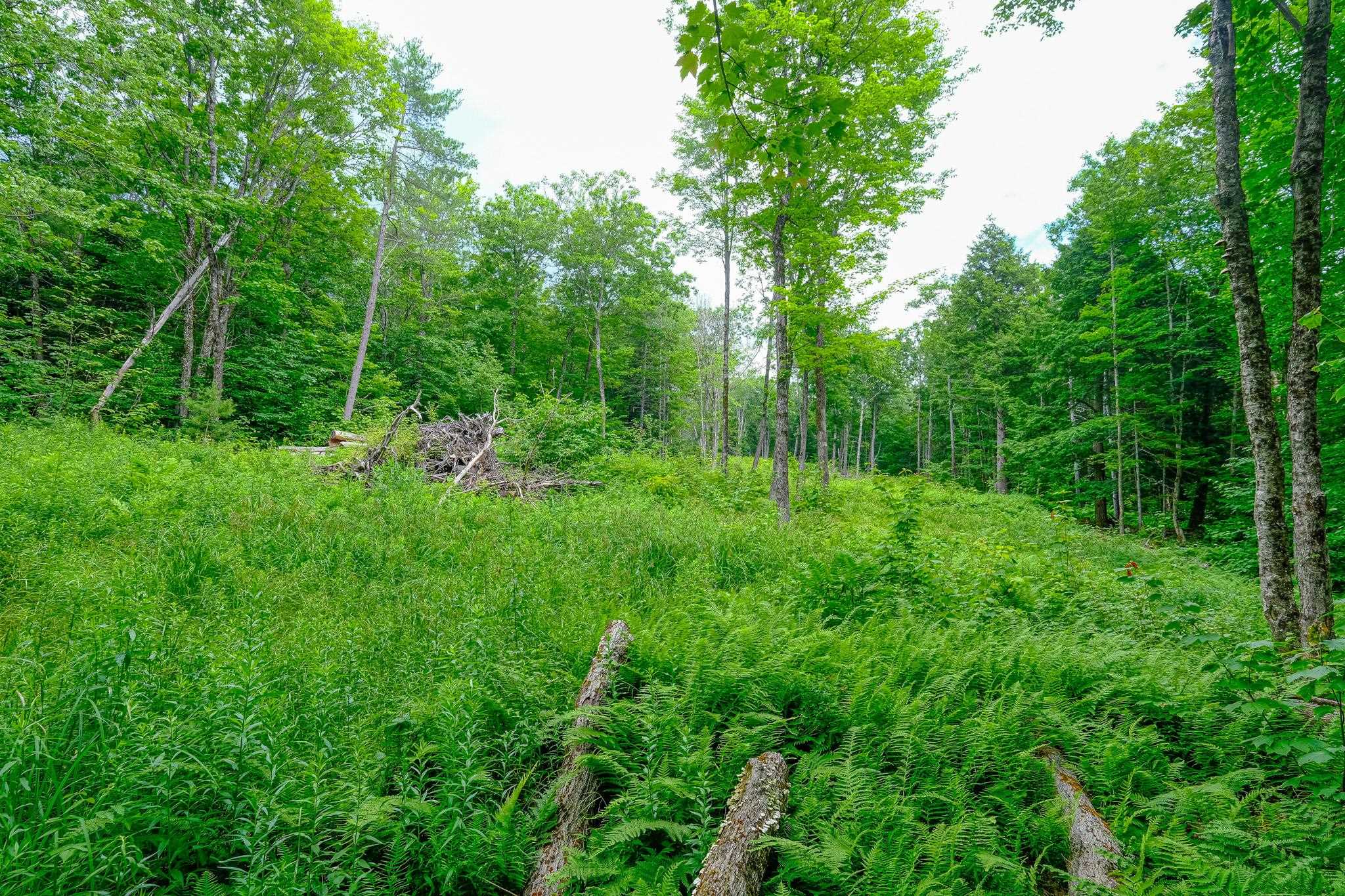 Lot 2A Preedom Hill Road North