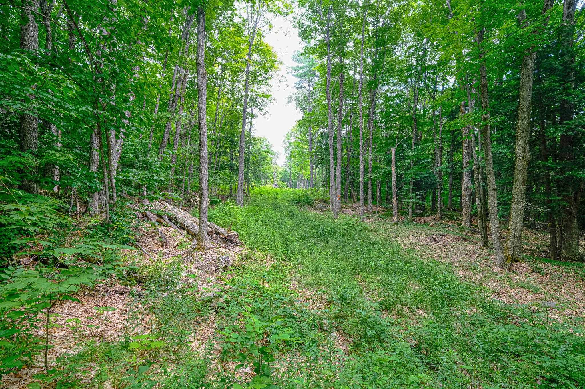 Lot 2A Preedom Hill Road North
