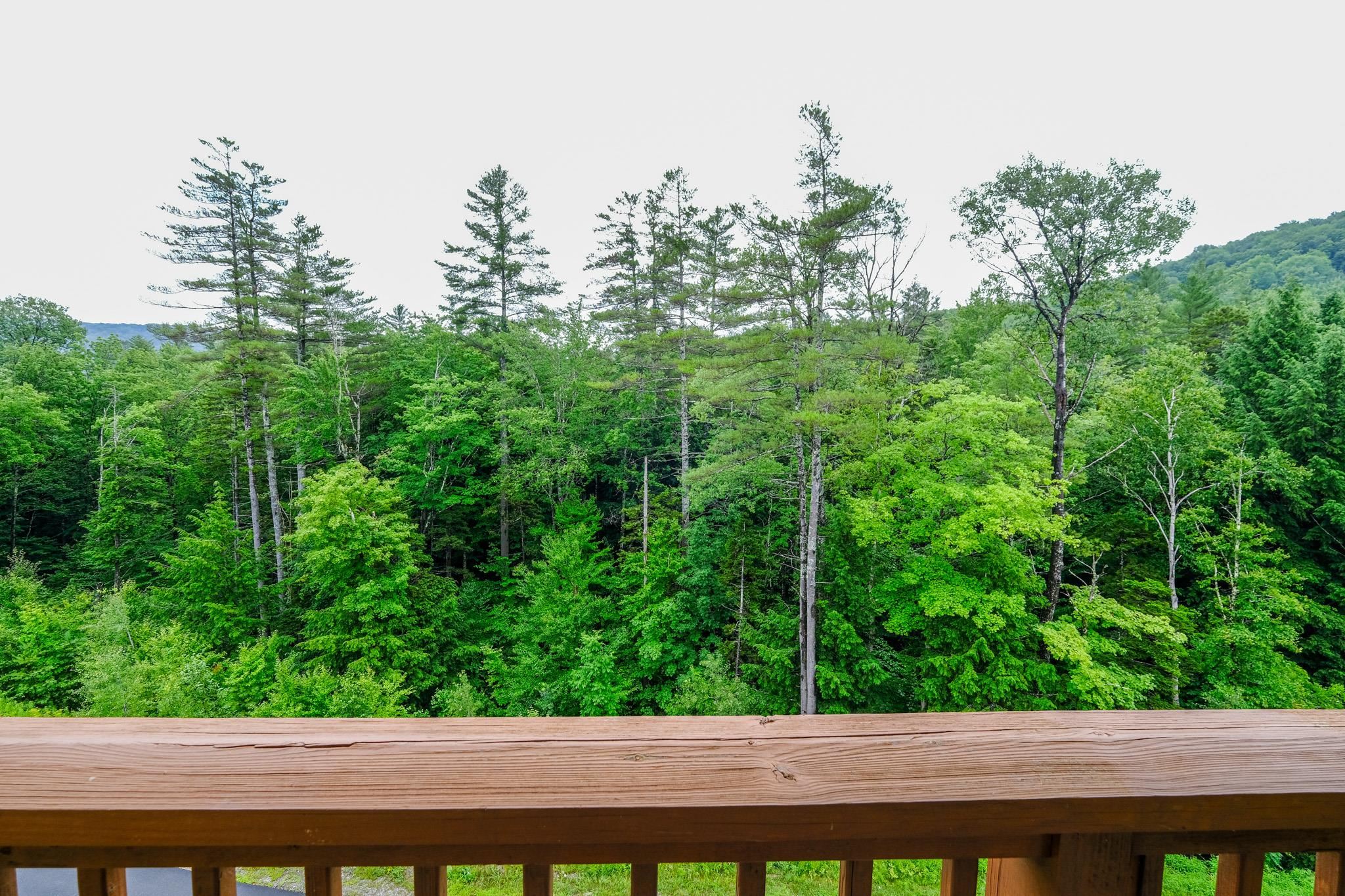 318/320 QII Jackson Gore Inn Unit: 318/320 QII