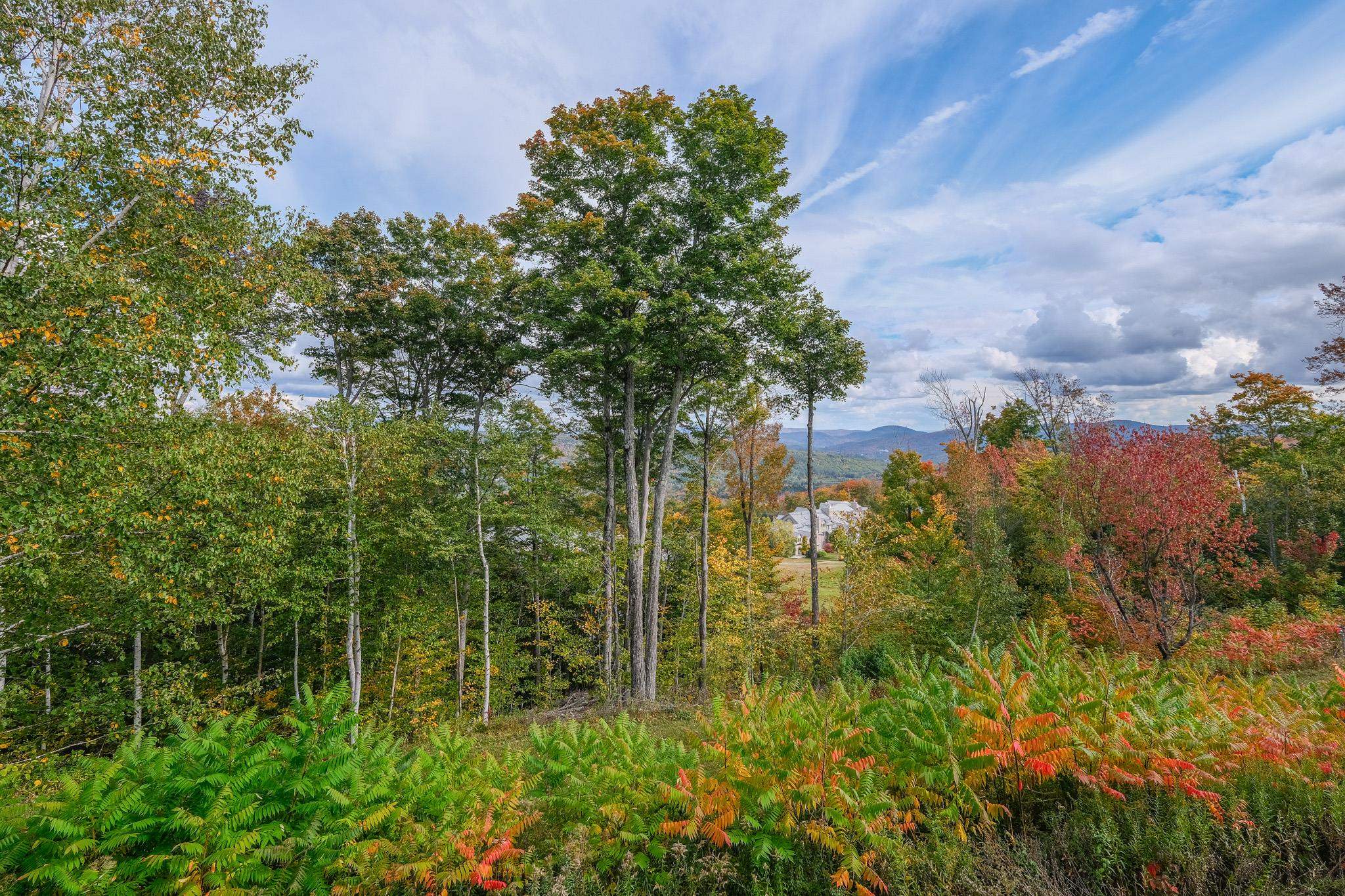 245 Solitude Road Unit: M203
