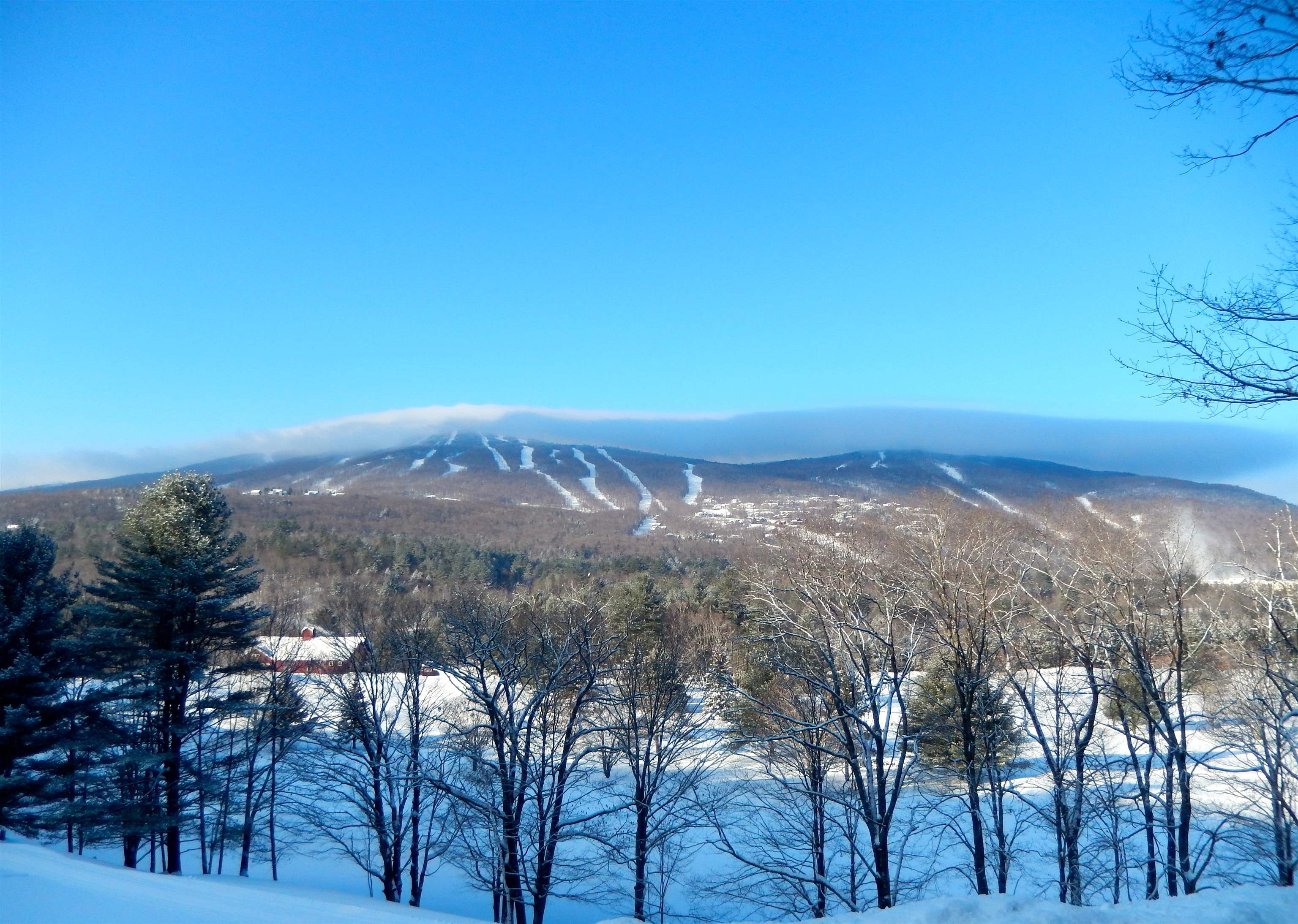 144 Lodge Road Unit: Tamarack 14