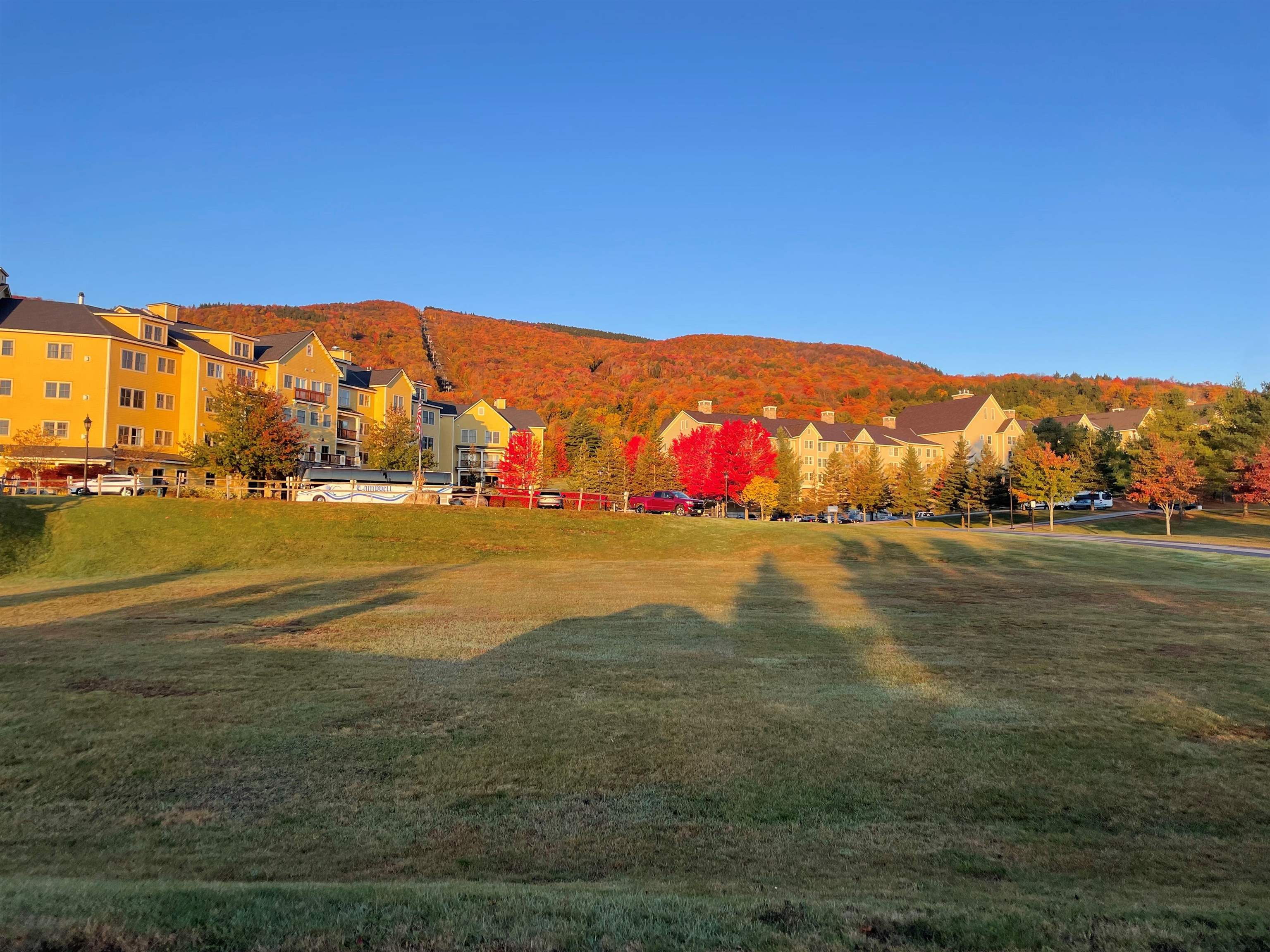 382/384 Qtr. I V Jackson Gore Inn