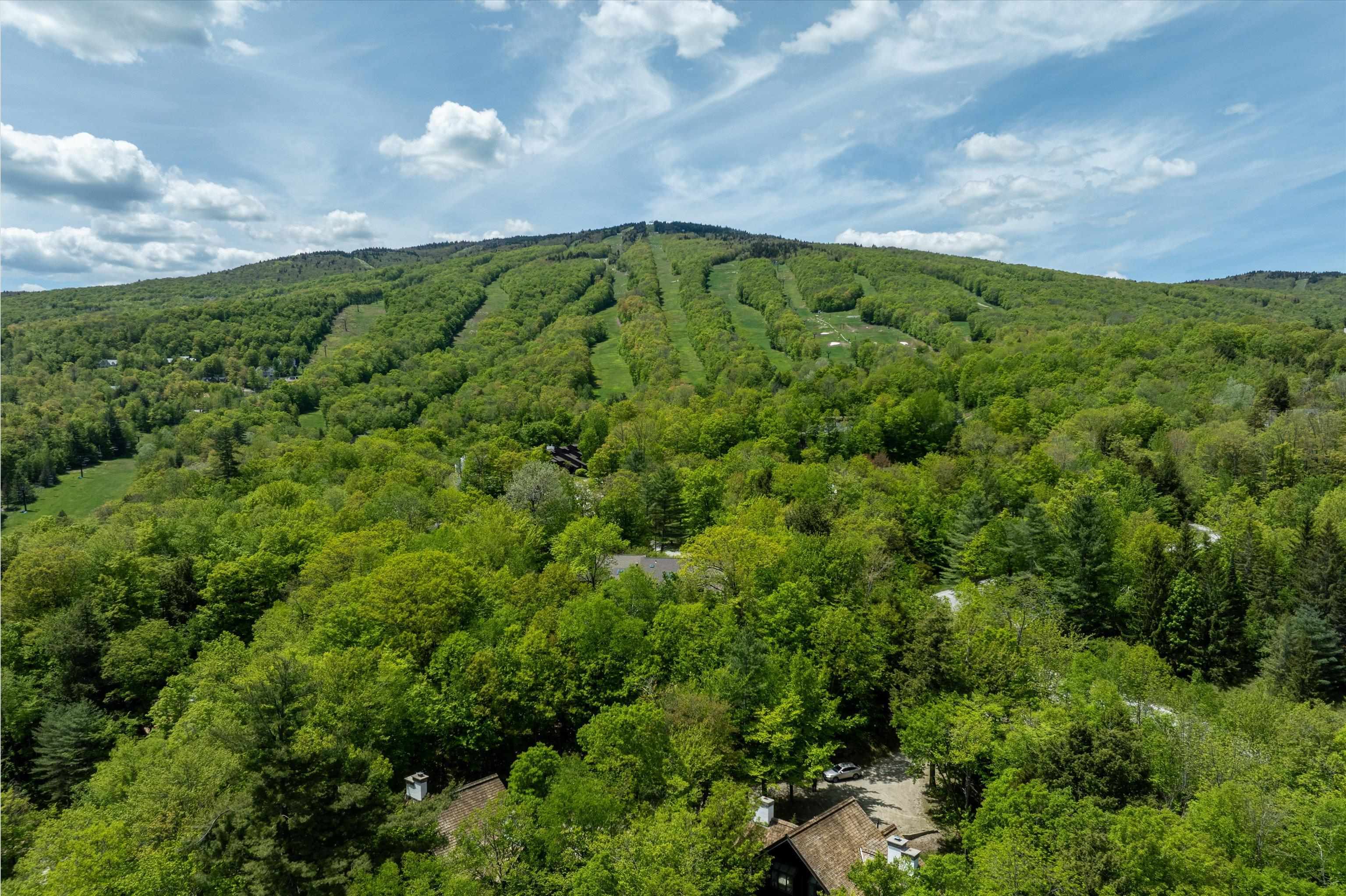 265 Okemo Ridge Road Unit: #2