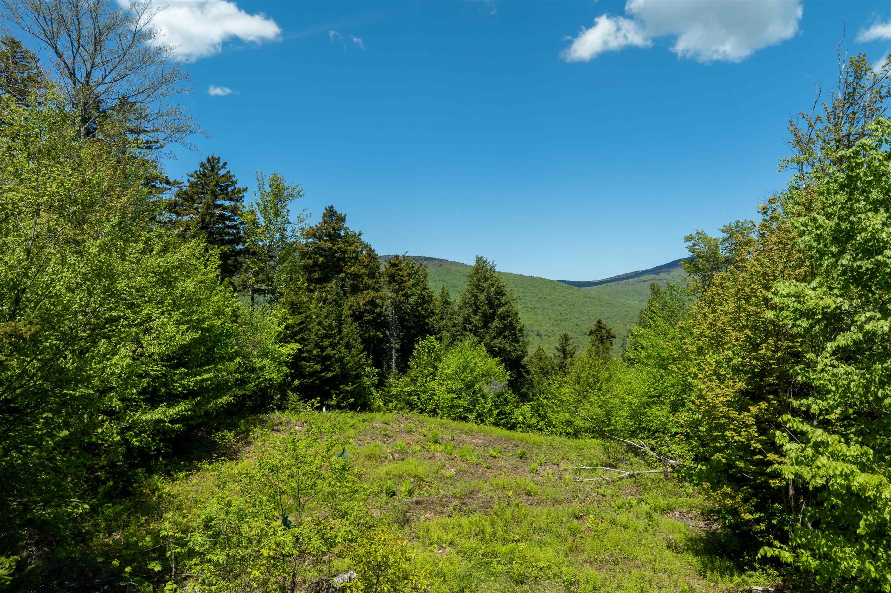 0 Turtle Hill Road Unit: Lot #2