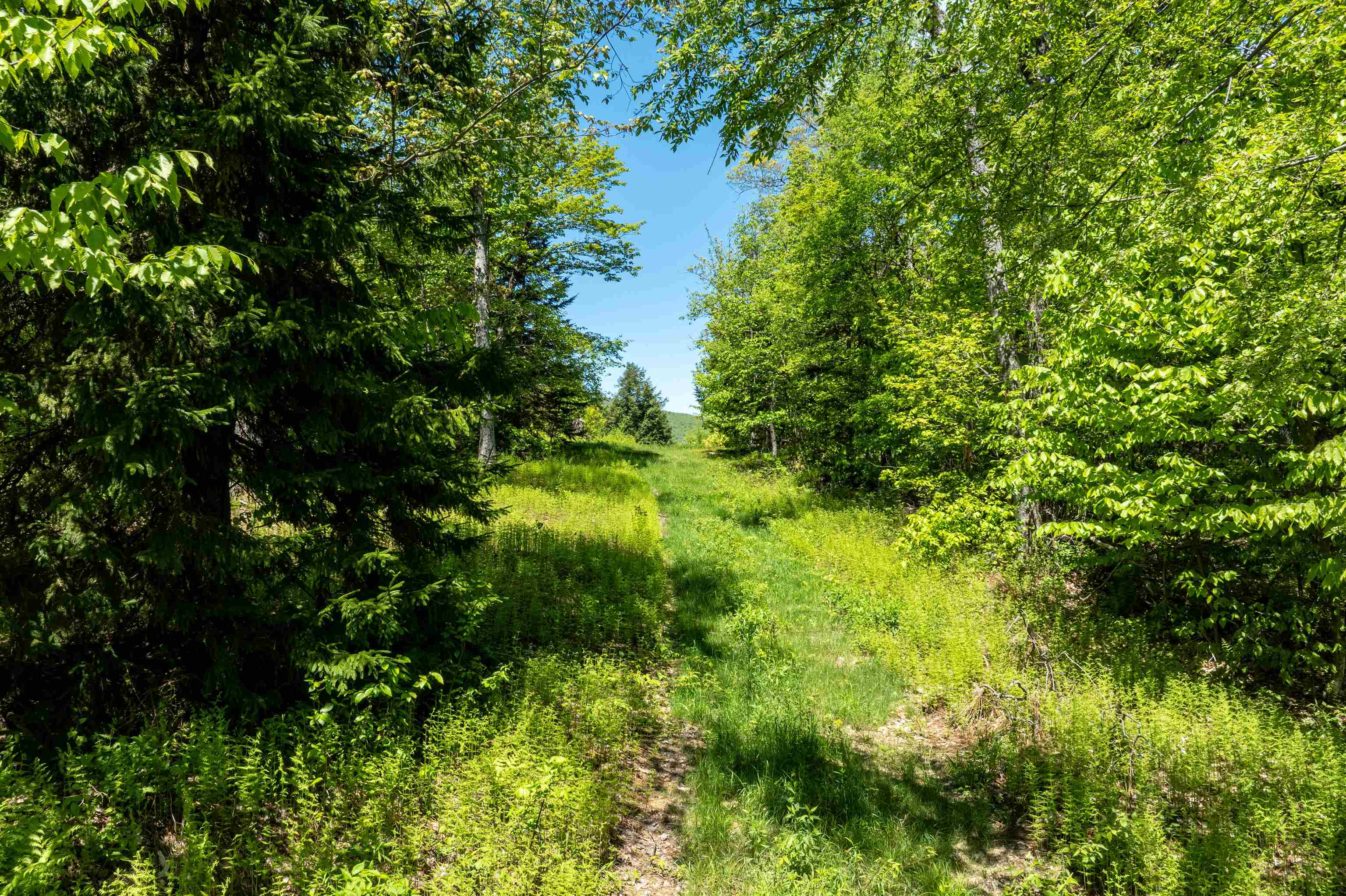 0 Turtle Hill Road Unit: Lot #2