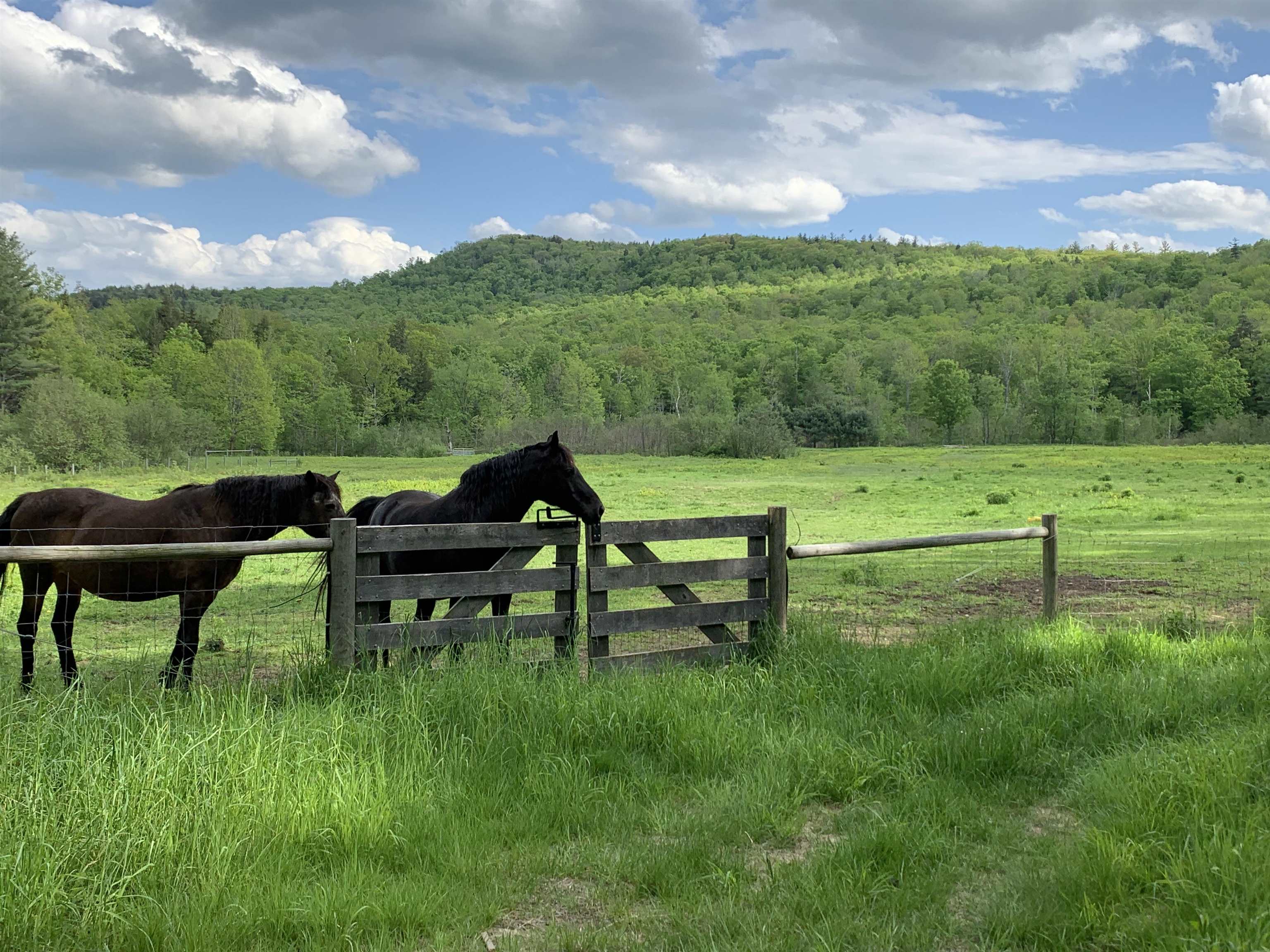 1502 Popple Dungeon Road