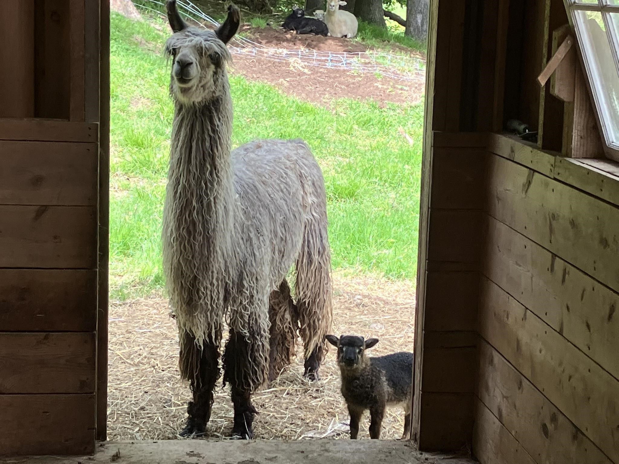 1502 Popple Dungeon Road