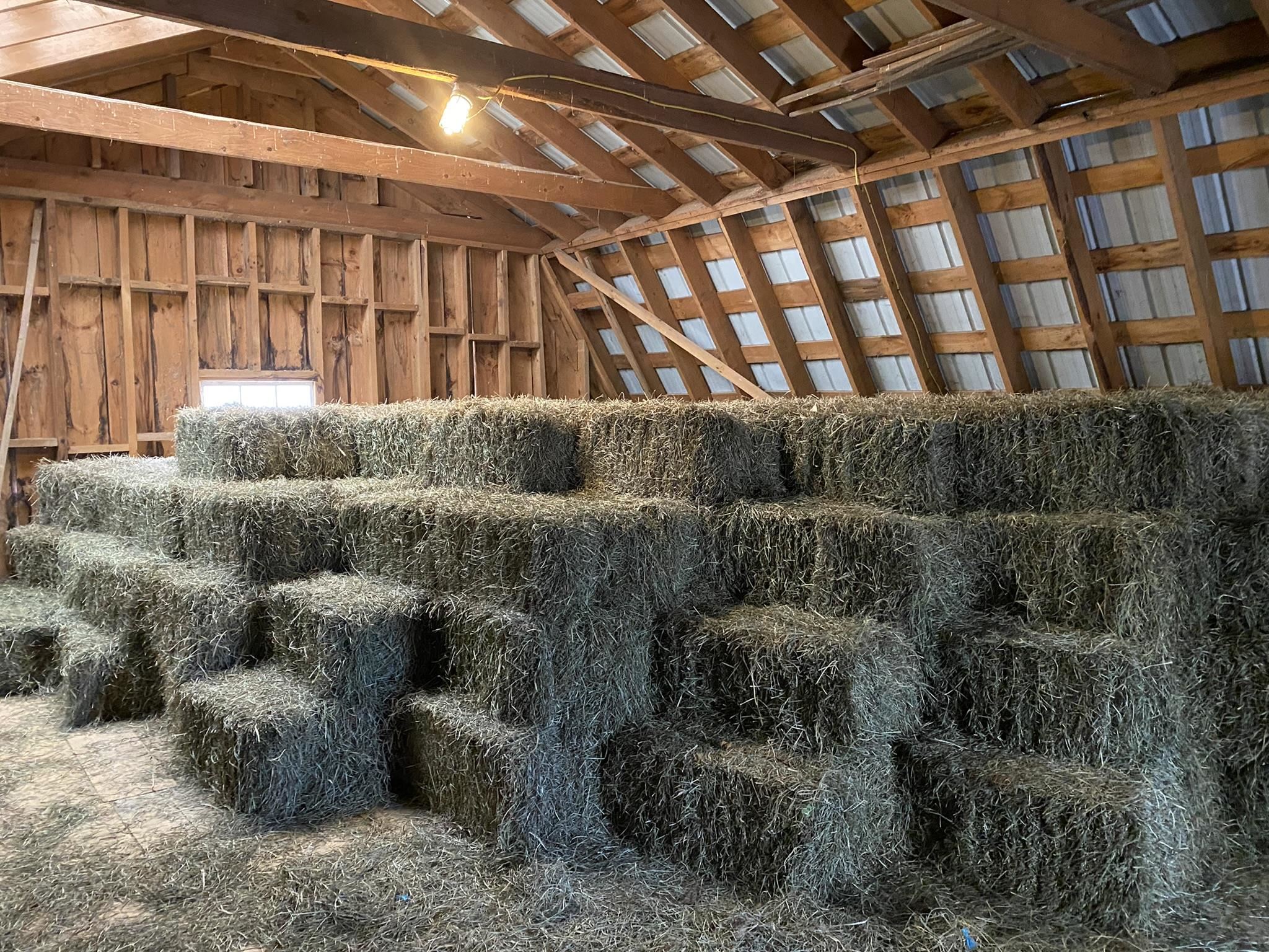 1502 Popple Dungeon Road