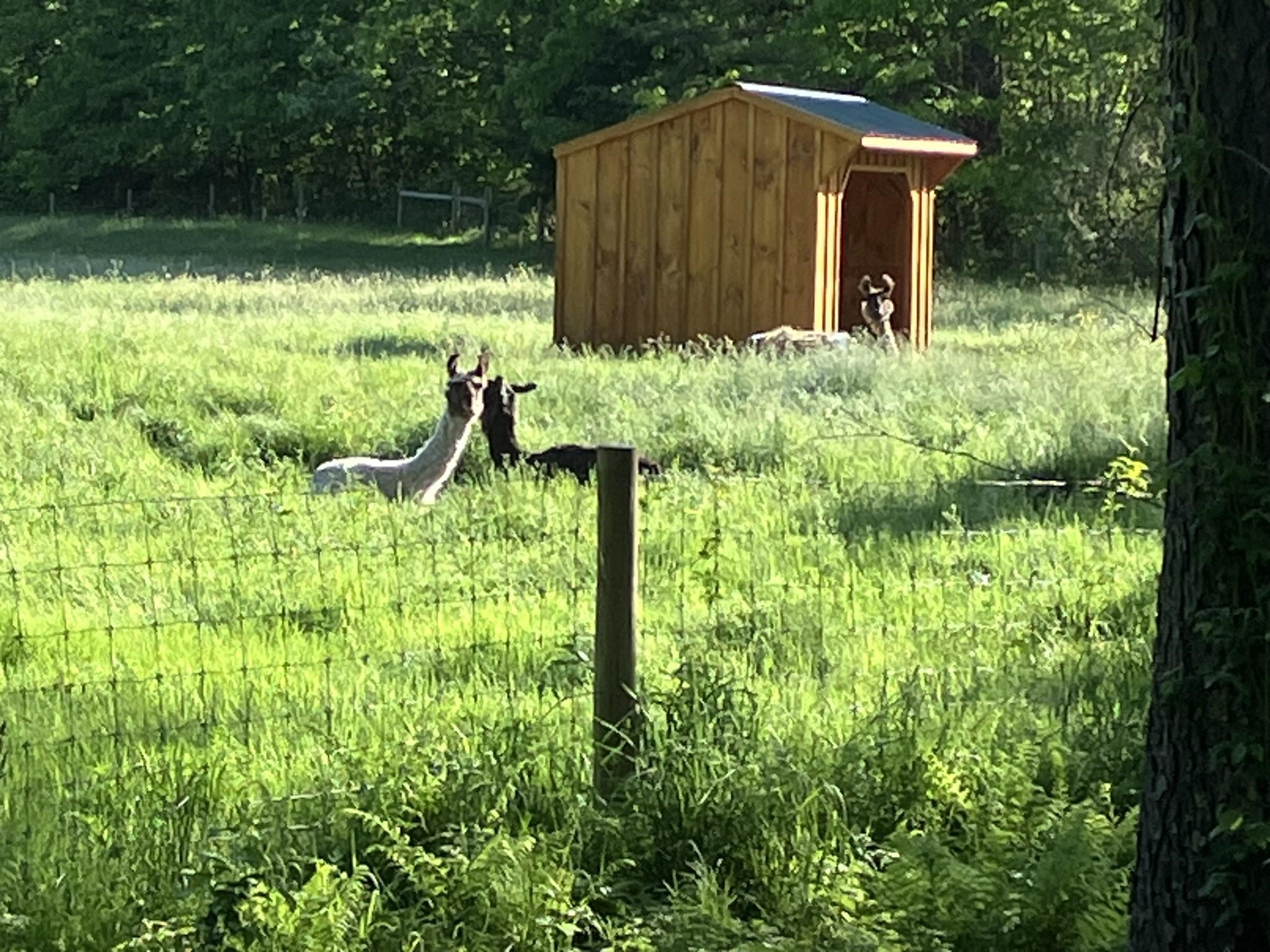 1502 Popple Dungeon Road